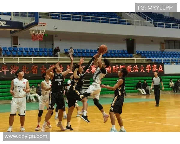 篮球灵活性排行榜揭晓广州篮球队荣获第二名展现卓越实力与团队协作