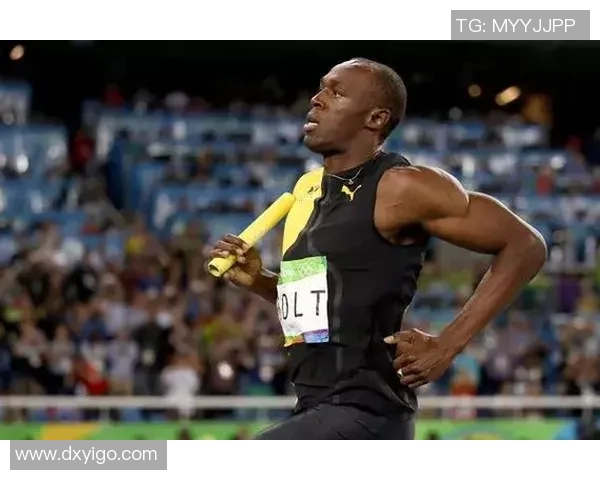 深度对话刘强探讨网球人生与职业生涯的交织与启示