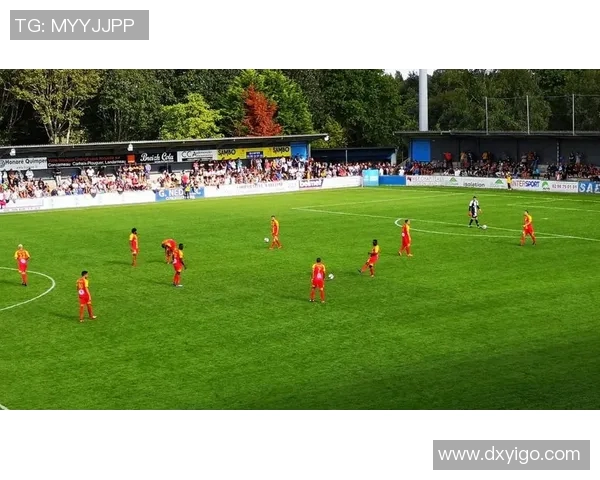 足球明星在比赛中突发昏迷引发关注医疗团队迅速救助球场内外反响热烈