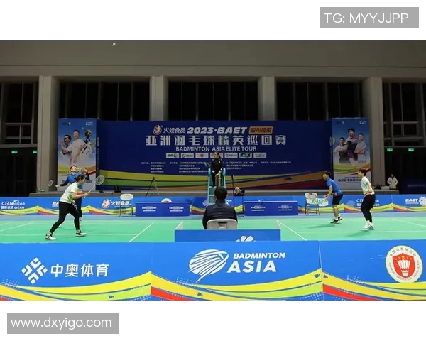 重庆羽毛球队在精英赛中的灵活性表现分析与总结