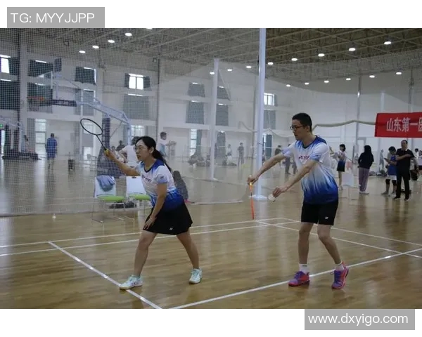 南京羽毛球队意识探讨与发展策略分析之研究报告