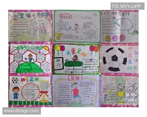 小毛驴足球明星的成长之路与梦想追逐的精彩故事